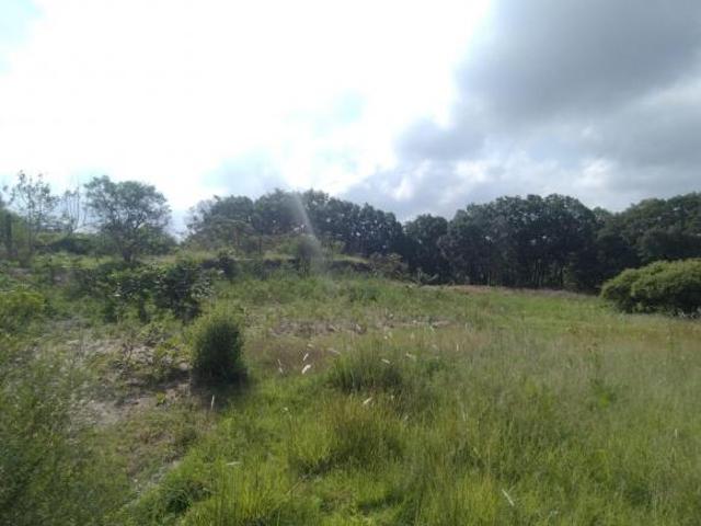 Terreno en Venta en Haras Ciudad Ecológica, Puebla