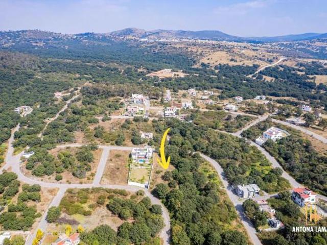 Terreno en Venta en Haras, Sección La Joya