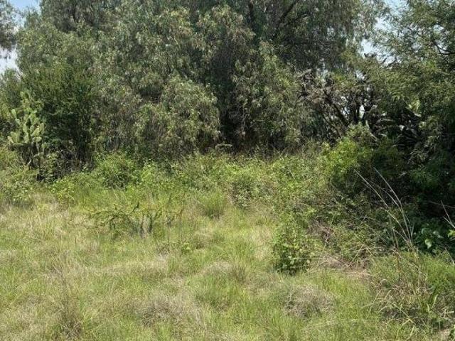 Terreno en Venta en Hidalgo