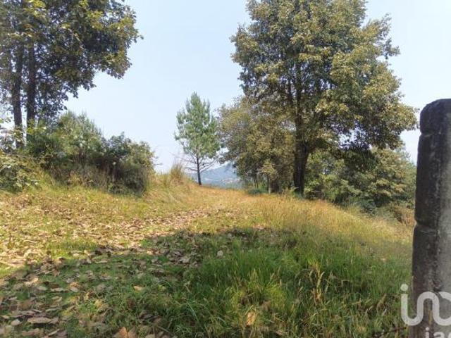 TERRENO EN VENTA EN HIDALGO COL LOS REYES
