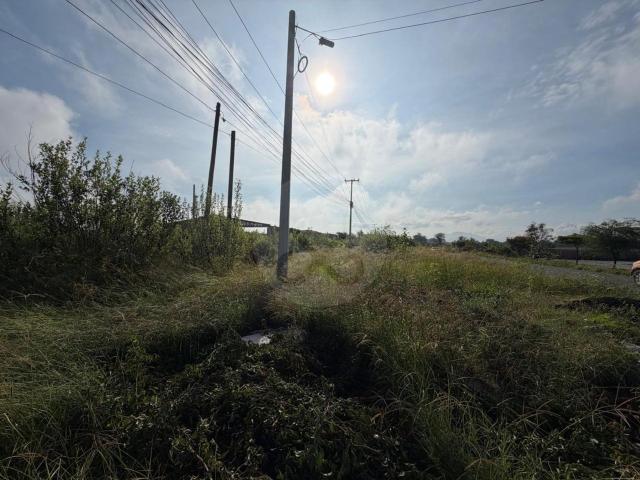TERRENO EN VENTA EN IXTLAHUACAN DE LOS MEMBRILLOS