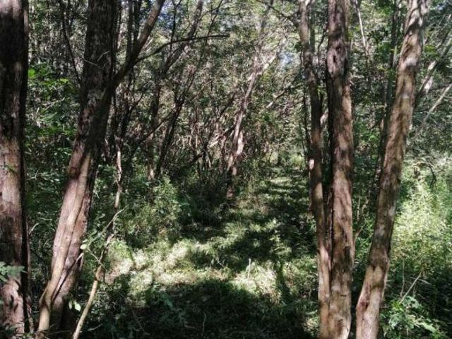 Terreno en Venta en Izamal, Yucatán
