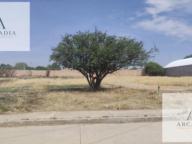 TERRENO EN VENTA EN JULIO CADENA