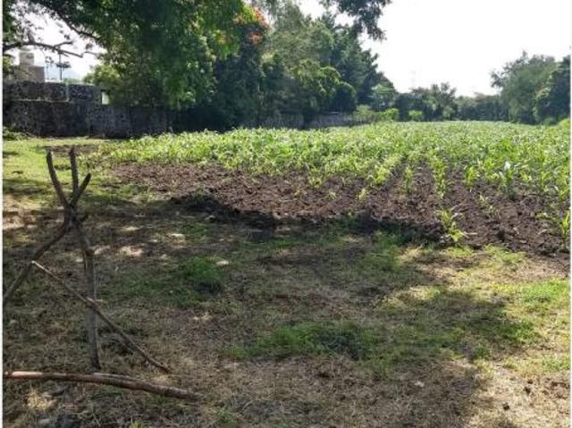 Terreno en venta en Jacarandas, Yautepec, Morelos