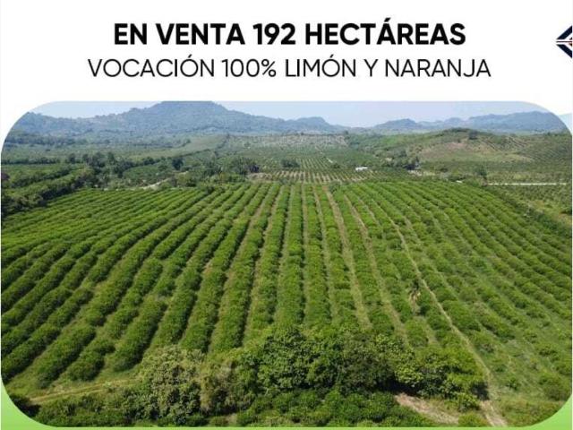 Terreno en venta en Jicaltepec, Nautla, Veracruz de Ignacio de la Llave