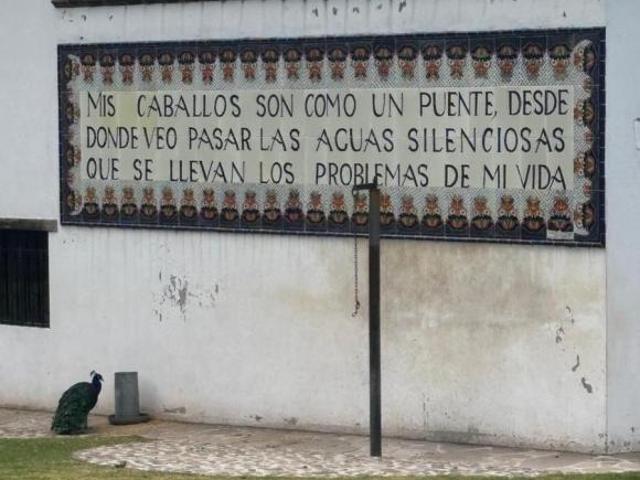 Terreno en Venta en Jilotepec