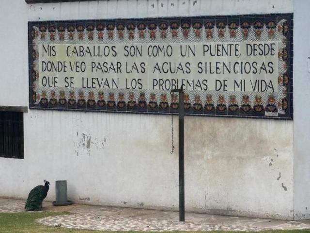 Terreno en Venta en Jilotepec