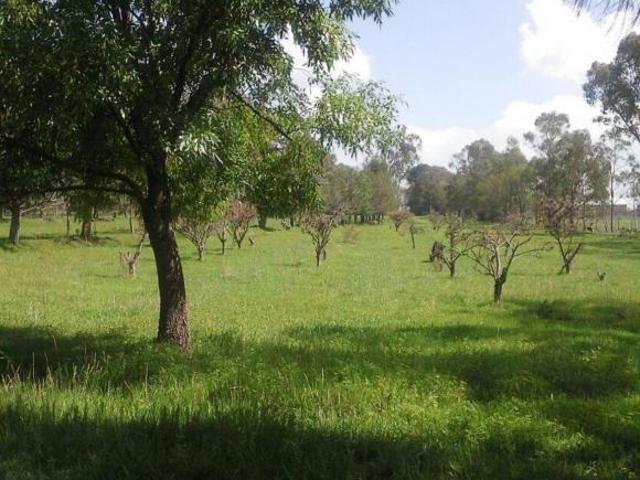 TERRENO EN VENTA EN JILOTEPEC