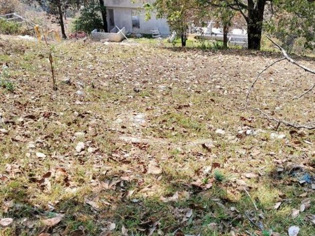 Terreno en Venta en Kaltic