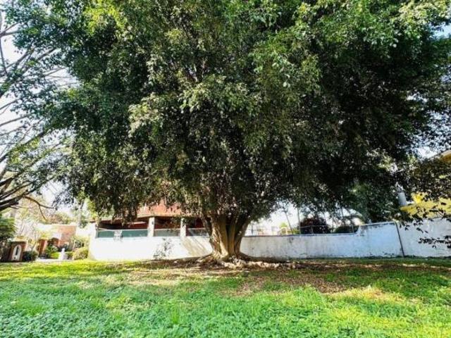 TERRENO EN VENTA EN KLOSTER SUMIYA
