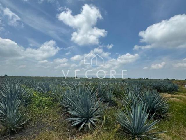 TERRENO EN VENTA EN LA MAGDALENA, MICHOACAN