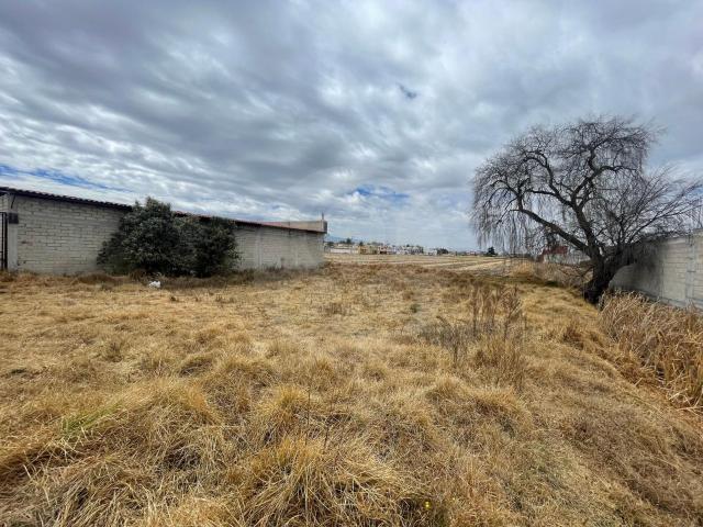 Terreno en venta en La Magdalena San Mateo Atenco