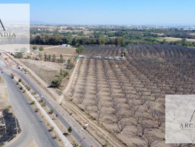 TERRENO EN VENTA EN LA NOGALERA, EL MEZ?N