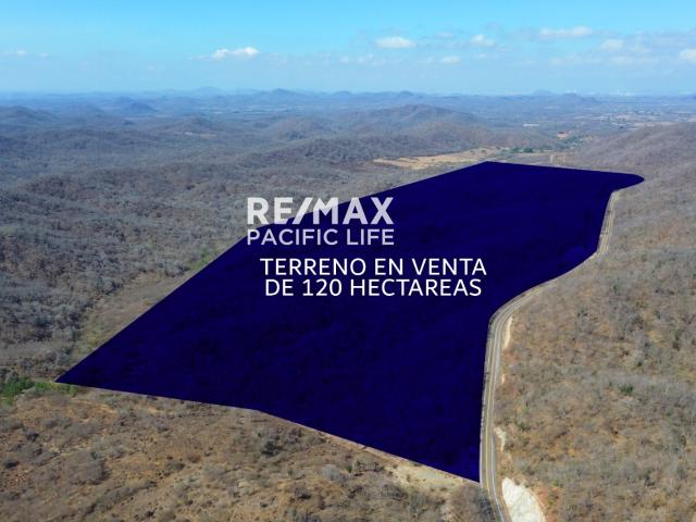 TERRENO EN VENTA EN LA NORIA