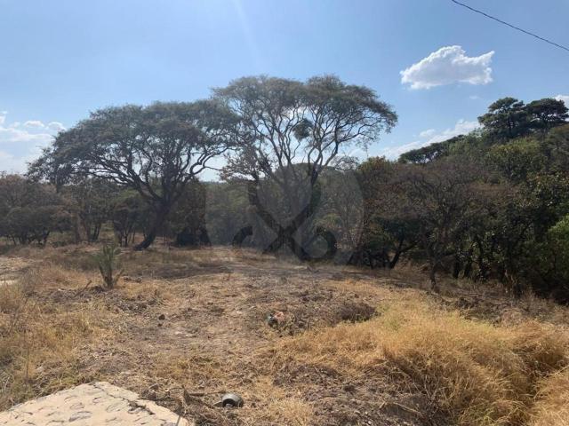 Terreno en venta en La bugambilia conocido como los Robles cerca club de la U de G