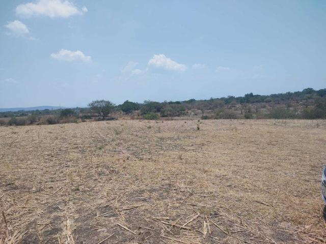 Terreno en venta en La Biznaga, Cuautla, Morelos