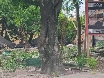 Terreno en venta en la calle 20 en cozumel