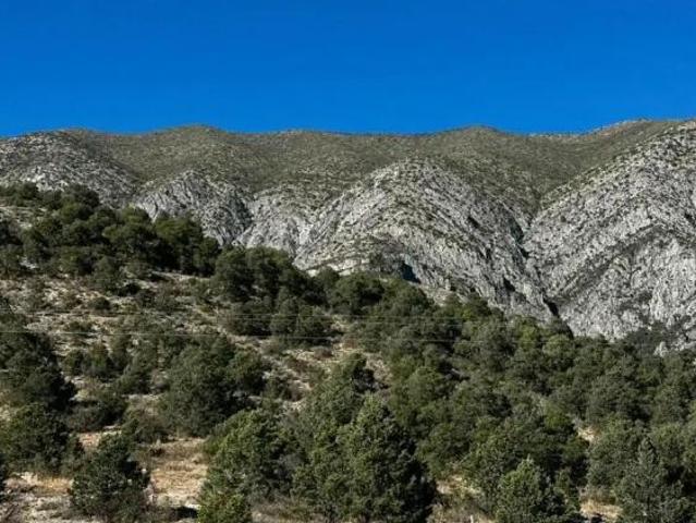 Terreno en Venta en La Carbonera