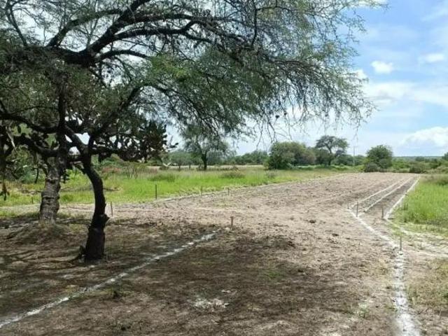 Terreno en Venta en La Cieneguita, San Miguel de Allende, Guanajuato