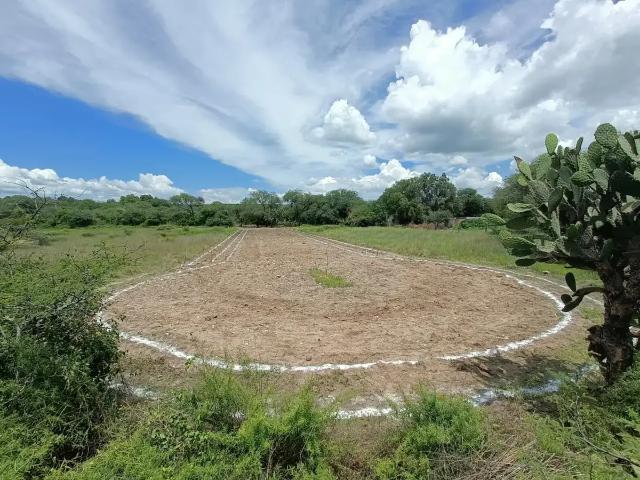 Terreno en venta en La Cieneguita, San Miguel de Allende, Guanajuato