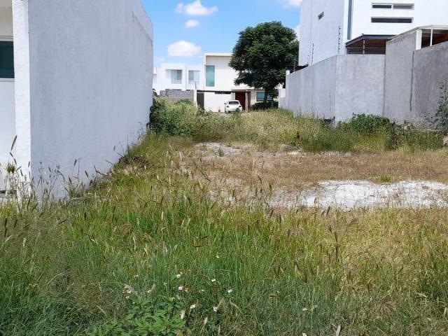 TERRENO EN VENTA EN LA CIMA FRAY JUNIPERO SERRA
