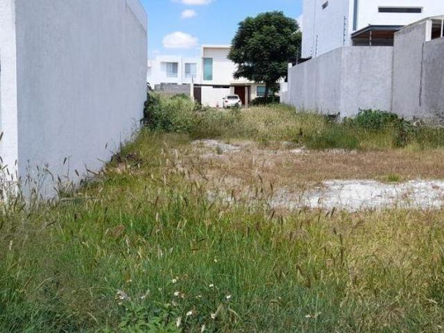TERRENO EN VENTA EN LA CIMA FRAY JUNIPERO SERRA