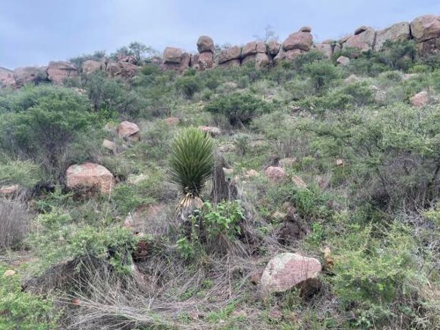 Terreno en venta en la Colonia del Bosque Excelente Vista panorámica y Ubicación 4