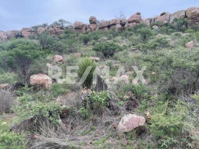 Terreno en venta en la Colonia del Bosque Excelente Vista panorámica y Ubicación 4