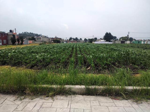 TERRENO EN VENTA en la colonia Las Am?ricas, municipio de Chapultepec, Estado de M?xico
