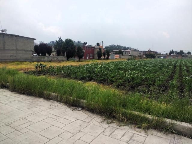 TERRENO EN VENTA en la colonia Las Am?ricas, municipio de Chapultepec, Estado de M?xico