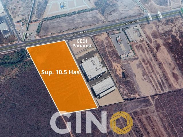 Terreno en Venta en La Costerita Culiac?n