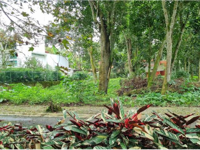 Terreno en venta en La Florida, Coatepec, Veracruz de Ignacio de la Llave