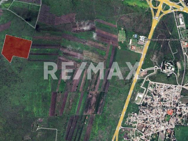Terreno en venta en La Garrida