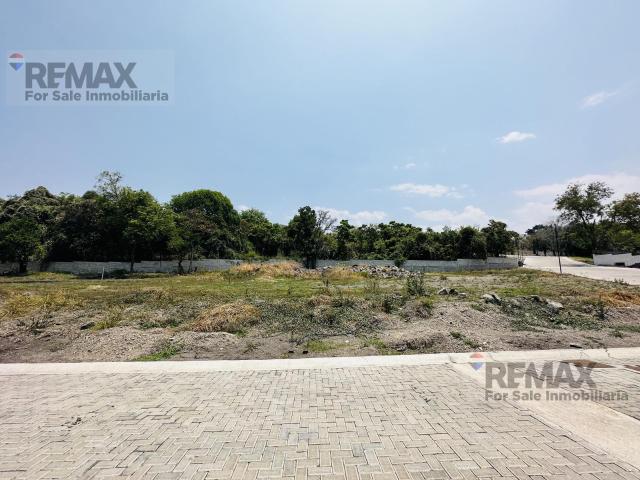 Terreno en venta en la Hondonada, Cocoyoc, Morelos. Clave 6265