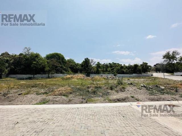 Terreno en venta en la Hondonada, Cocoyoc, Morelos. Clave 6265