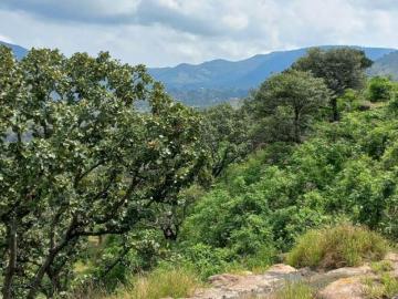 Terreno en venta en La Loma Zapopan
