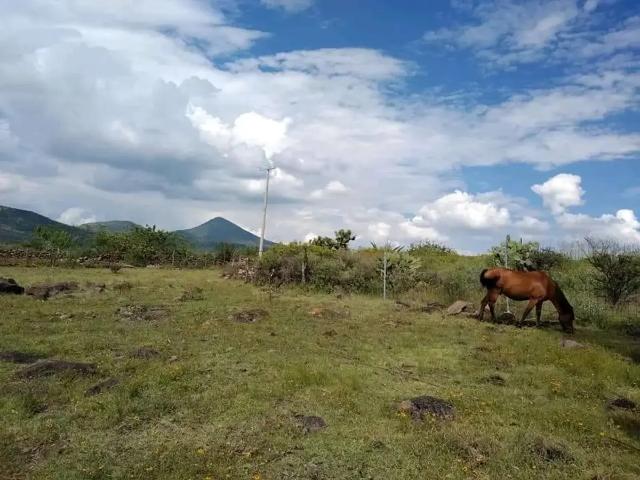 Terreno en venta en La Purísima, Cortazar, Guanajuato