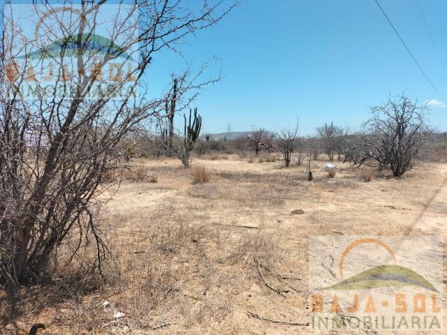 TERRENO EN VENTA EN LA PASION B EUCALIPTO, LA PAZ, BCS