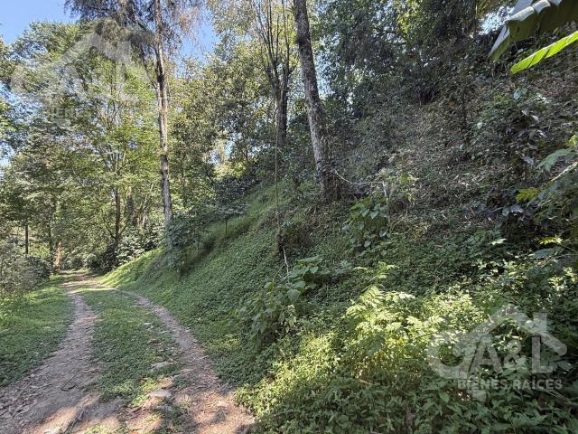 Terreno en venta en La Pitaya