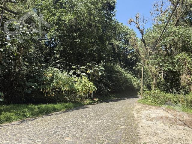 Terreno en venta en La Pitaya