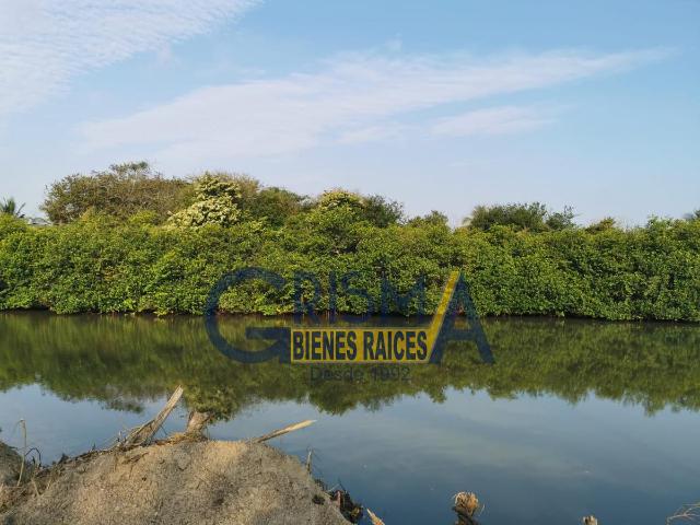 TERRENO EN VENTA EN LA PLAYA FRENTE AL ESTERO
