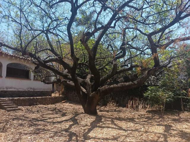 Terreno en venta en La Pradera, Cuernavaca, Morelos