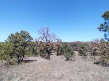 Terreno en Venta en La Primavera Ex Hacienda La Primavera