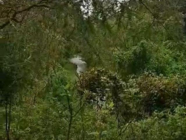 Terreno en Venta en La Primavera Ex Hacienda La Primavera
