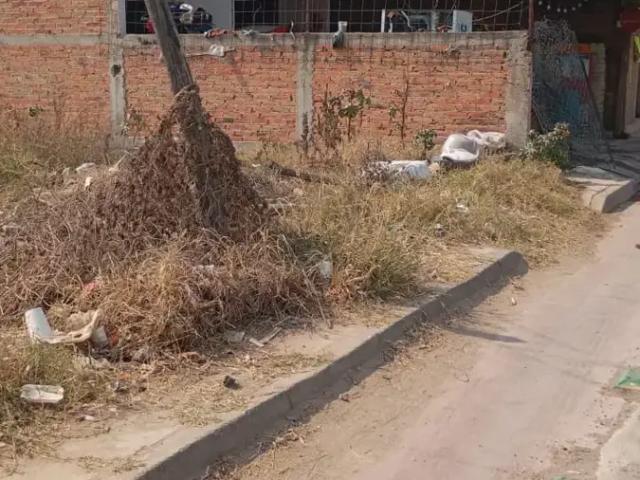 Terreno en venta en La Severiana, Tonalá, Jalisco