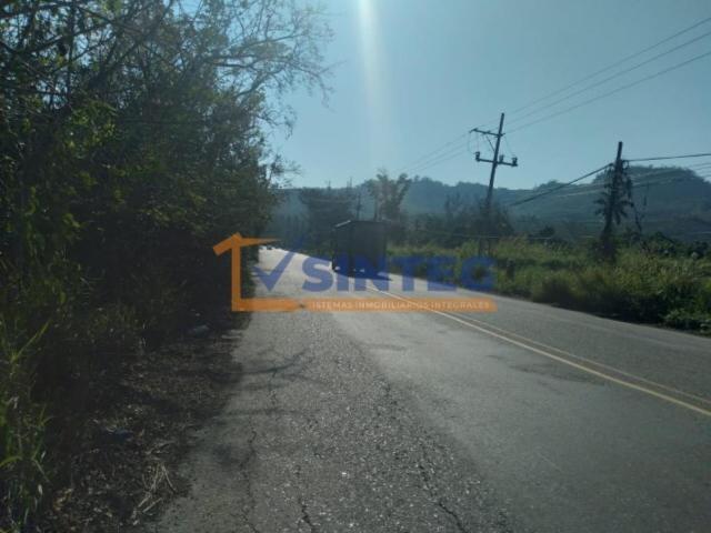 Terreno en venta en La Victoria Kilómetro 47, Papantla, Veracruz de Ignacio de la Llave