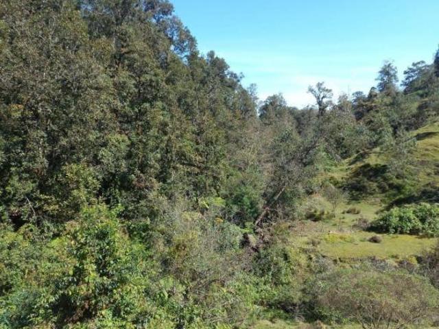 Terreno en venta en la zona de Teziutlán Hueytamalco