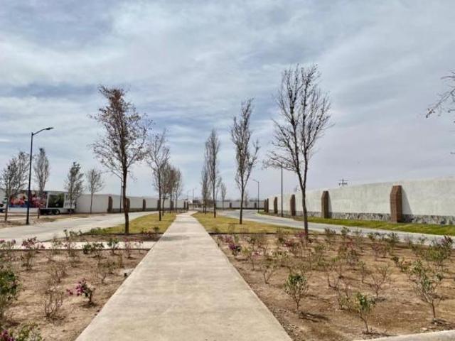 TERRENO EN VENTA EN LABARRANCA TORREON COAHUILA