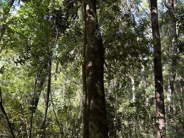 Terreno en Venta en Lago Azul