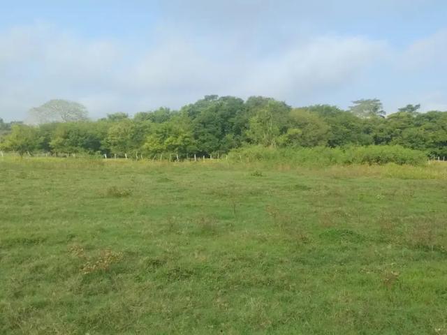 Terreno en Venta en Lagartera 1era. Sección Centro Tabasco